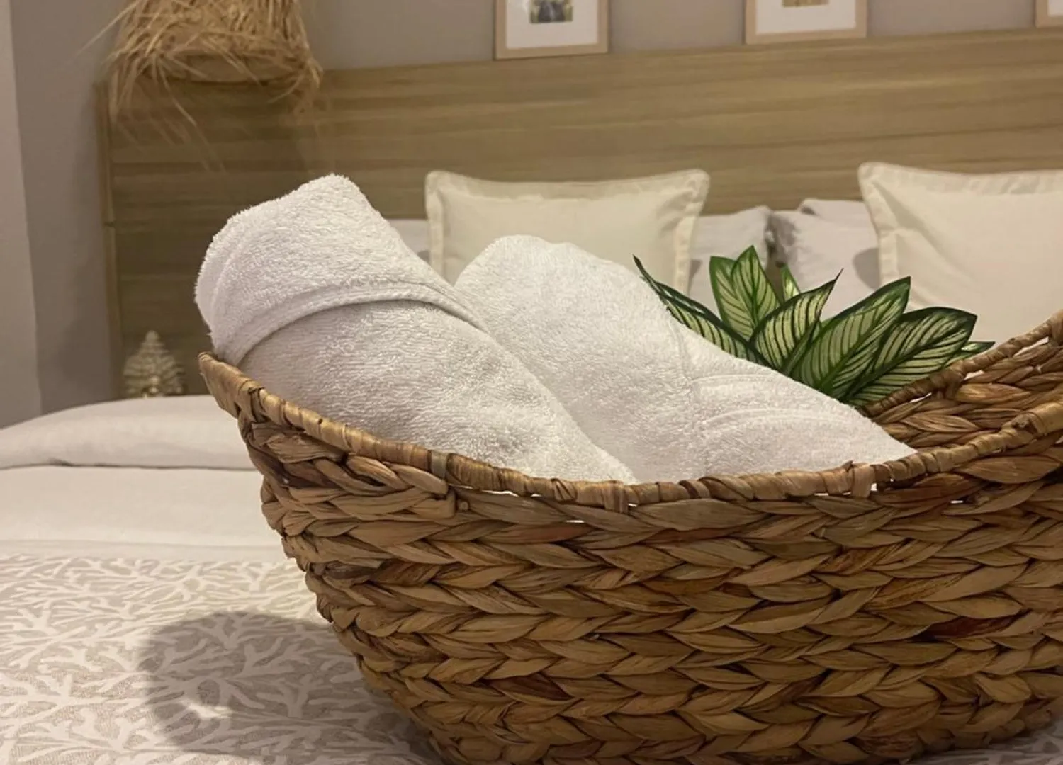 Moet Medellin Hotel