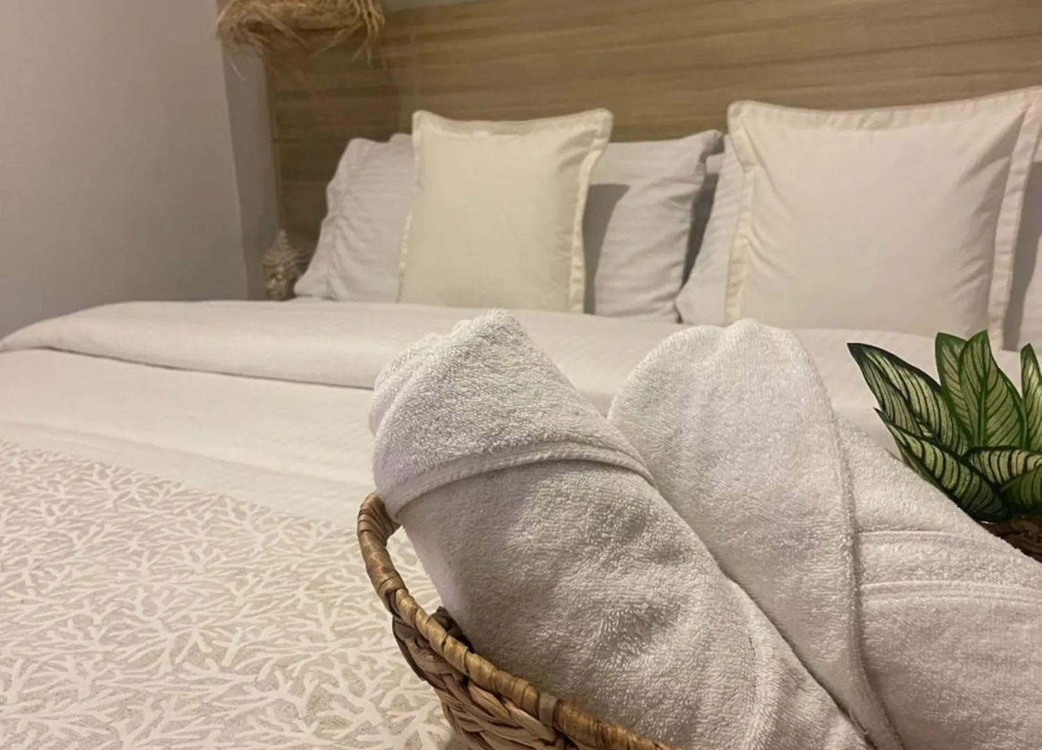 Moet Medellin Hotel